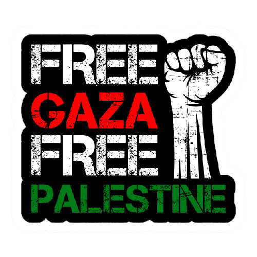 3pcs Large Palestine Flag (150*90cm) - Free Gaza Sydney