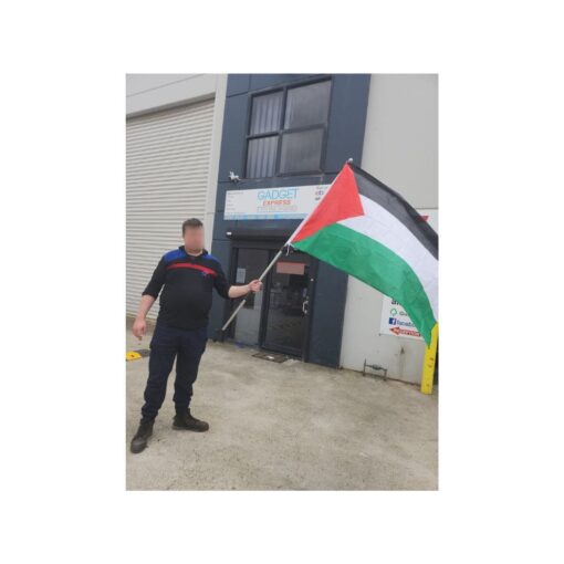 Large Palestine Flag