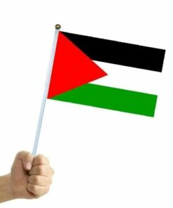 Small Palestine Handheld Flag