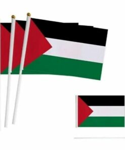 3 Pack Small Palestine Handheld Flag