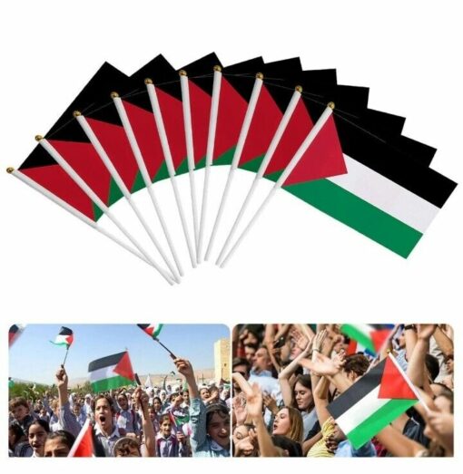 10 Pack Small Palestine Handheld Flag