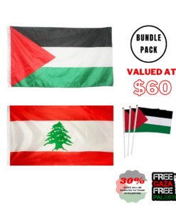 BUNDLE PACK 2 - Large Palestine Flag, Large Lebanon Flag, Handheld Mini Flag