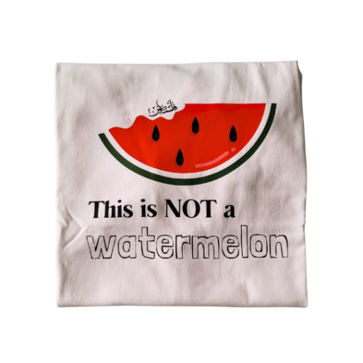 This is not a watermelon Shirt for Palestine