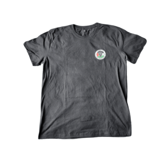 Palestine T-Shirt for Adults - Stand Up for Palestine