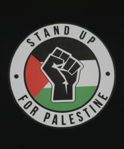 Palestine T-Shirt for Adults - Stand Up for Palestine