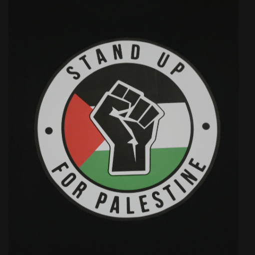 Palestine T-Shirt for Adults - Stand Up for Palestine