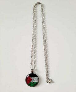 Palestine Flag Rocks - Round Pendant Necklace