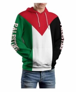 Palestine Flag Pullover Hoodie