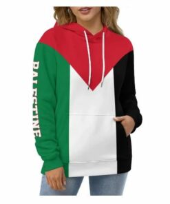 Palestine Flag Pullover Hoodie