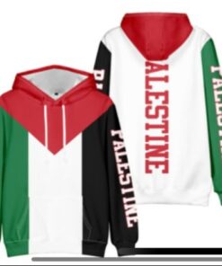 Palestine Flag Hoodie