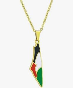 Palestine Flag Map Necklace in Gold