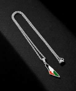 Palestine Flag Map Necklace in Silver