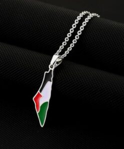 Palestine Flag Map Necklace in Silver