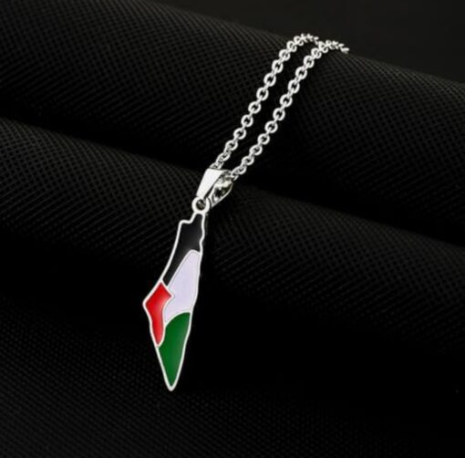 Palestine Flag Map Necklace in Silver